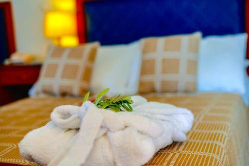 Hotel Xenia Ouranoupolis