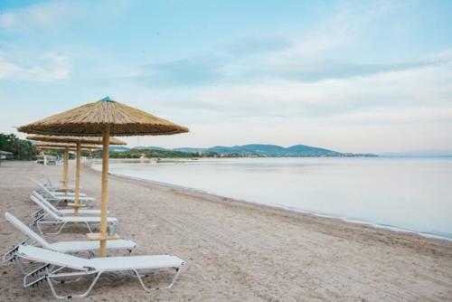 Apartamento Olea Mare