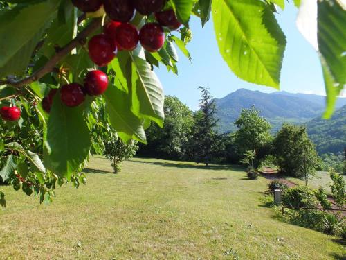 Bed & Breakfast Chambre D'hote La Chataigneraie