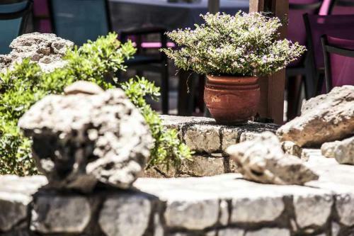Apartamento Akti Hotel