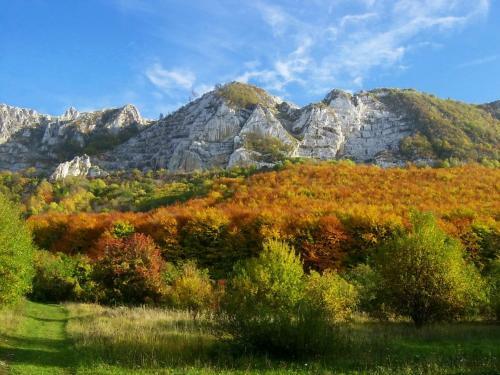 Bed & Breakfast B�lk? Panzi�