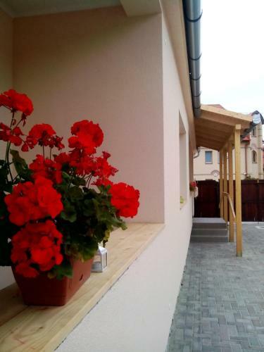 Hostal Borosty�n Vend�gh�z