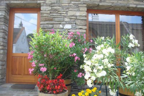Hostal Centrum Vend�gh�z