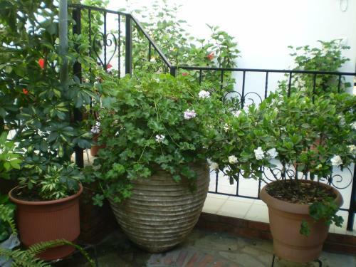 Apartamento Studios Zoi