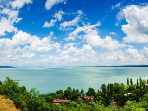 Hostal Cyrano Panzi�
