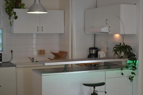 Apartamentos Colombet Stay's - Rue Pitot