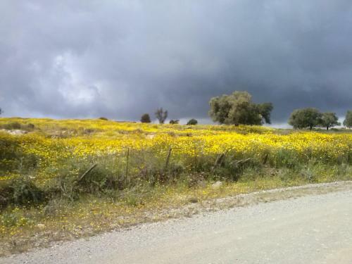 Hostal Villa Costas - Popi