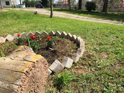Apartamento Iris Accommodation