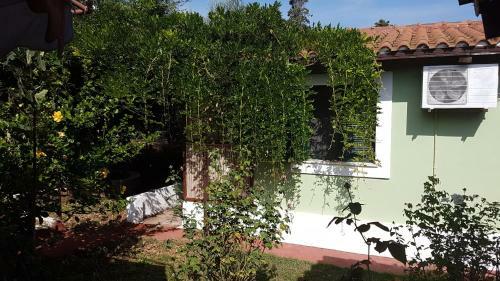 Brigitta Apartments