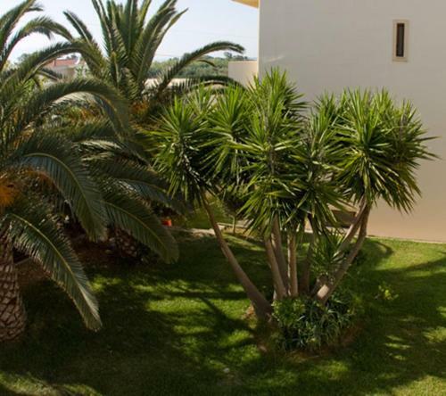 Aparthotel Olga Suites