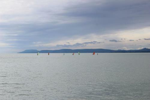 Parton Villa Apartments