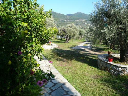 Hostal Liossis Rooms & Apartments
