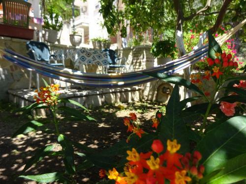 Hostal Studios Ristas Kostas