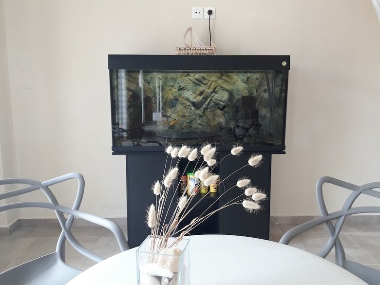 Apartamento Sand And Sea