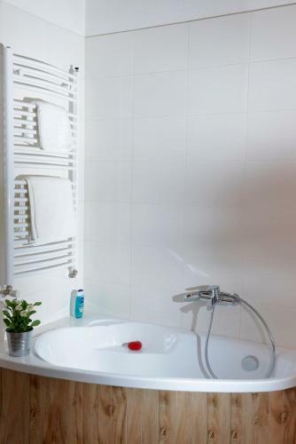 Paris Apartment