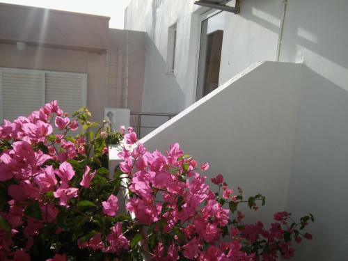 Hotel Haraki Mare Studios & Apartments