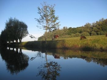 Logis Hotel De Brabantse Biesbosch