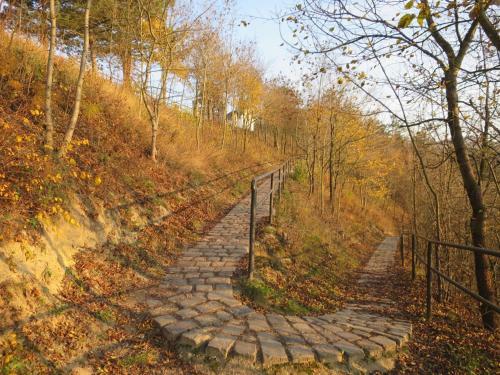 Hostal Sz?nyi �ti Vend�gh�z