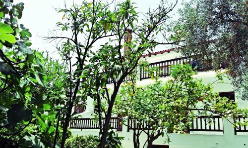 Hostal Naftilos Skiathos