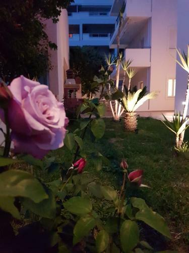 Vakakis-me Apartments