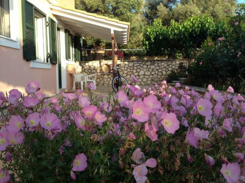 Apartamento Esperia Studios