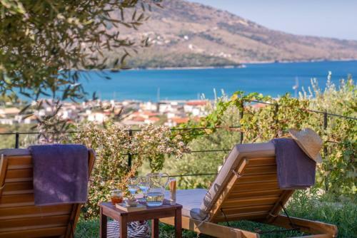 Apartamento Liodentro - Olea