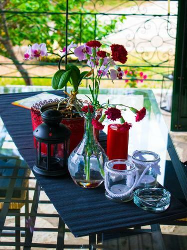 Apartamento Liodentro - Olea