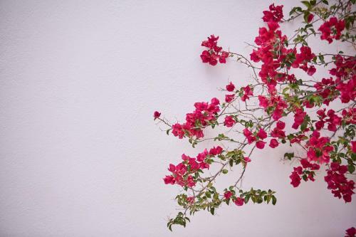 Hotel Spetses Retreat Accommodation