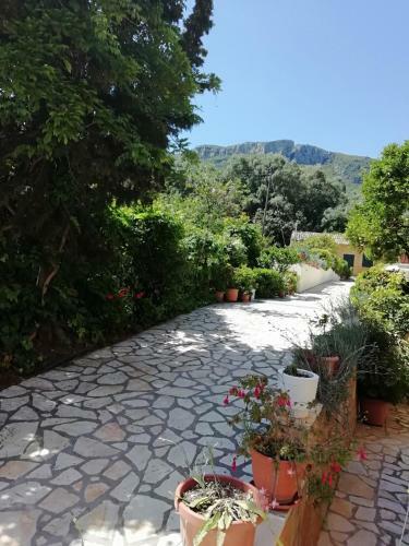 Marilena Studios And Apartments