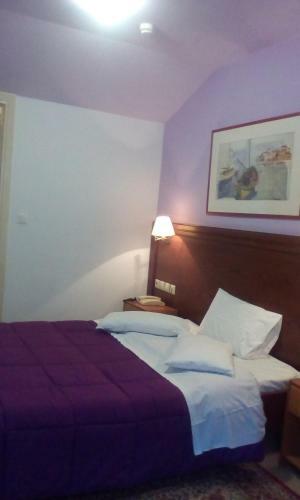 Aiolos Hotel Delphi