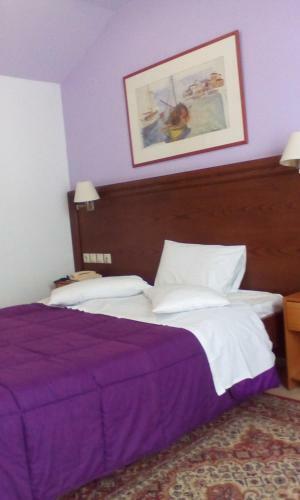 Aiolos Hotel Delphi