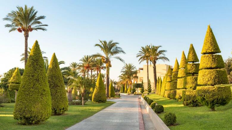 Hotel Horizon Beach Resort