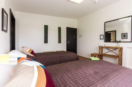 Hostal Iceland's Guesthouse