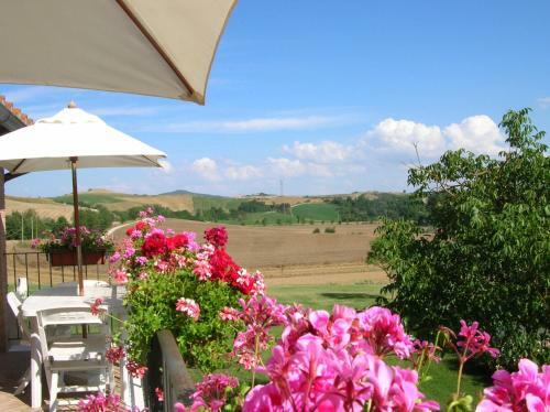 Agroturismo Agriturismo Il Poderino