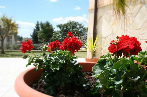 Villa Mara B&B