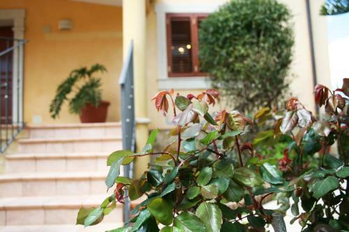 Villa Mara B&B
