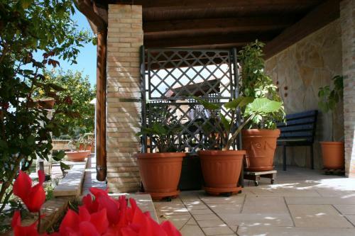 Villa Mara B&B