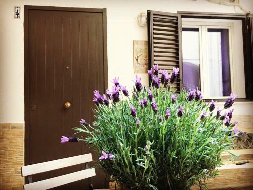 Cappuccini Hostel