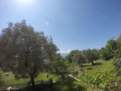 Apartment Danculovic