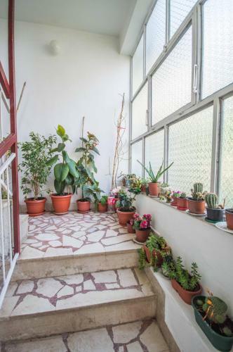 Hostal Ranko Guesthouse