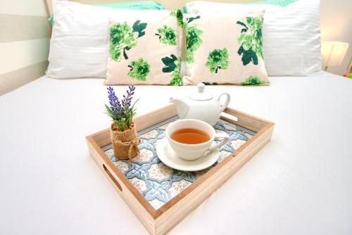Apartment Recoleta