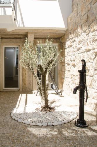 Apartamento Porto N�utico