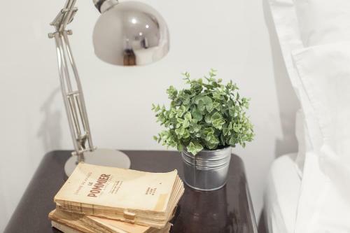 Apartamento Vintage House Santa Catarina