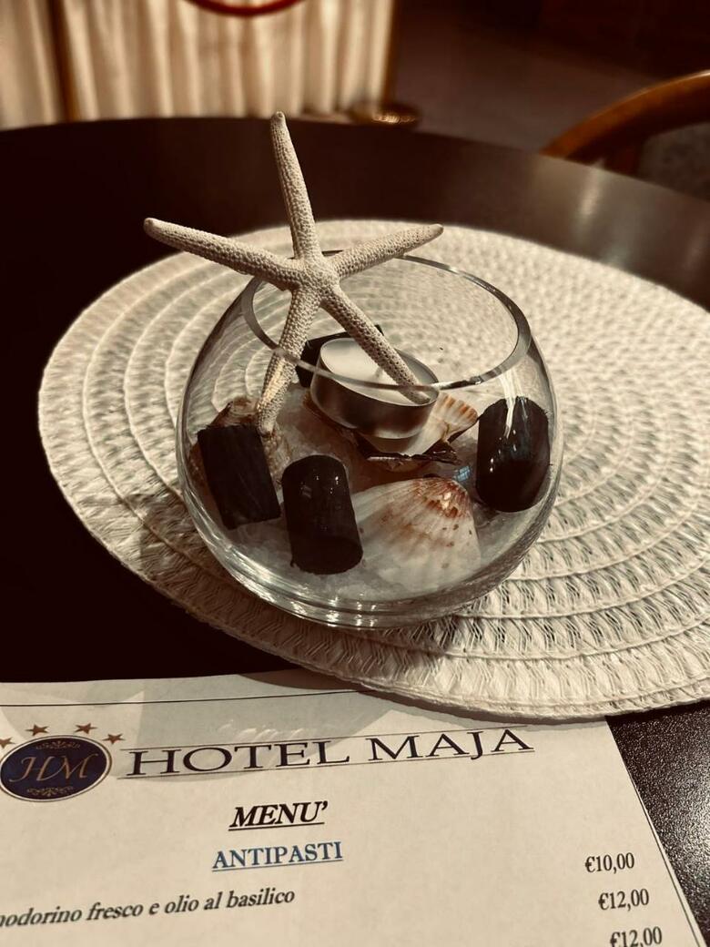 Hotel Maja