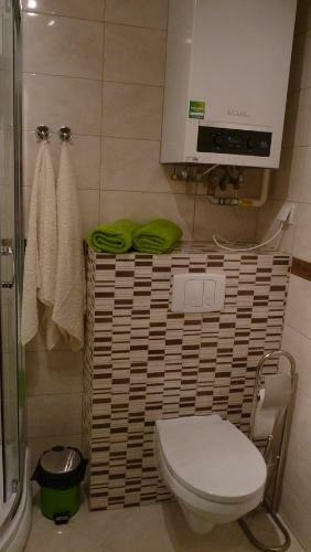 Apartamen-cik Wile?ska