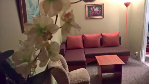 Apartament Konopnicka