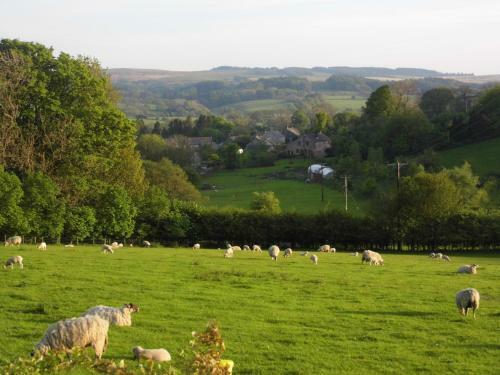 Bed & Breakfast Clerk Laithe Lodge
