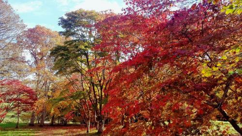 Bod Gwynedd Bed And Breakfast