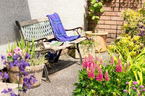 B&B Meadow View