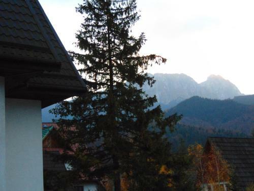 Apartamenty Malinka